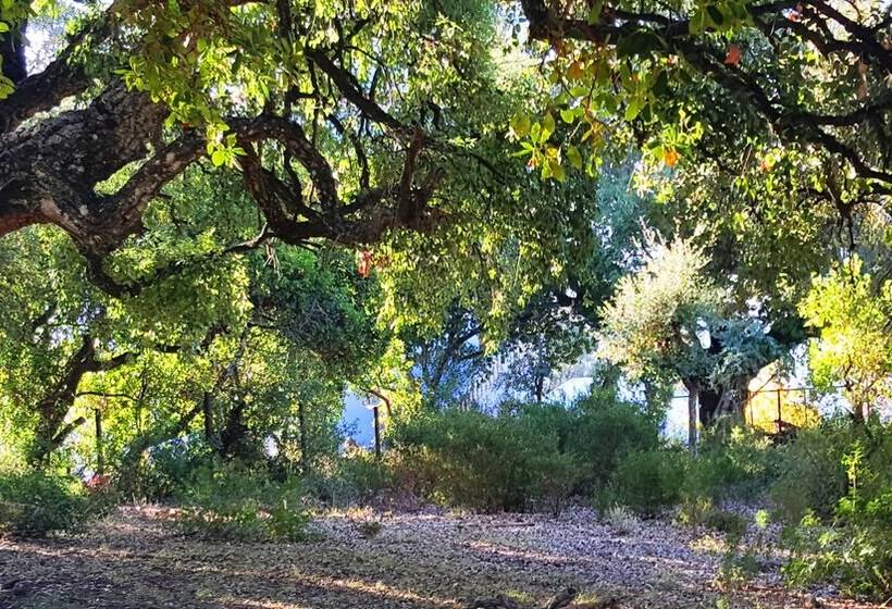 پانسیون Gîte Talassemtane