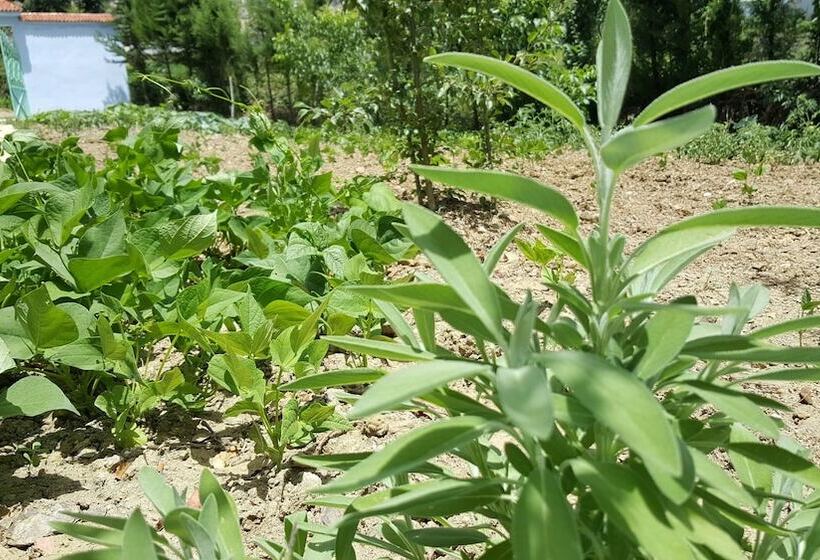 پانسیون Gîte Talassemtane