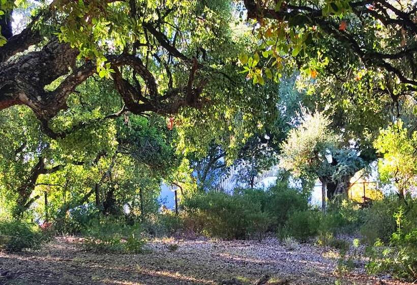 پانسیون Gîte Talassemtane