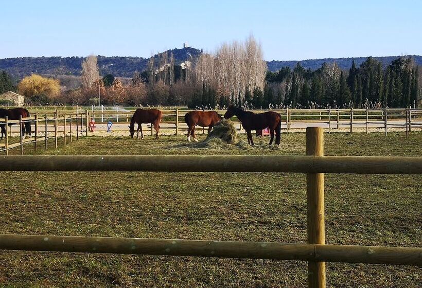 膳宿费 La Petite Plaine