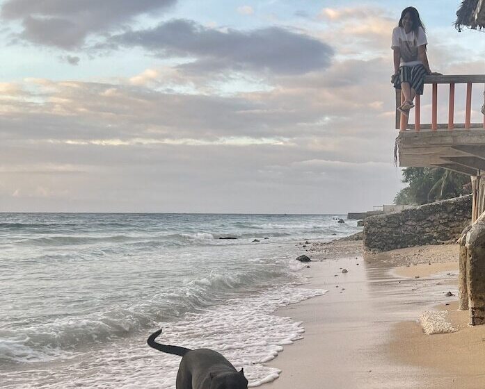 بنسيون Mdf Beach Resort And Day Tours