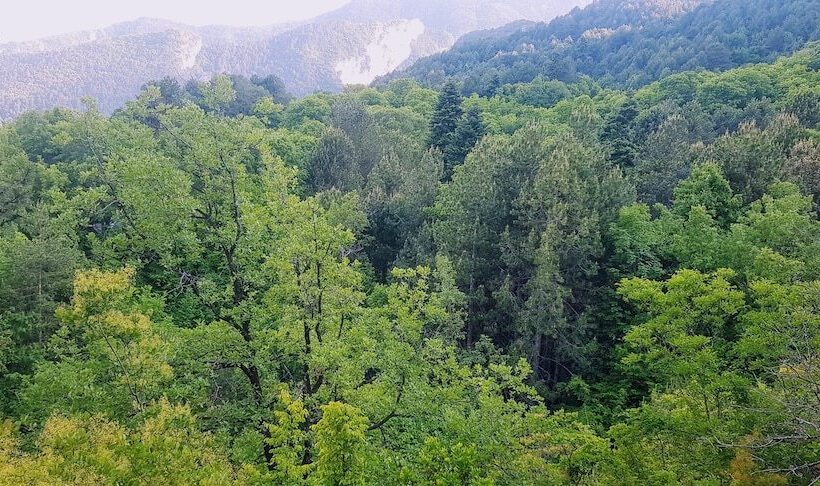 פנסיון Olympus House