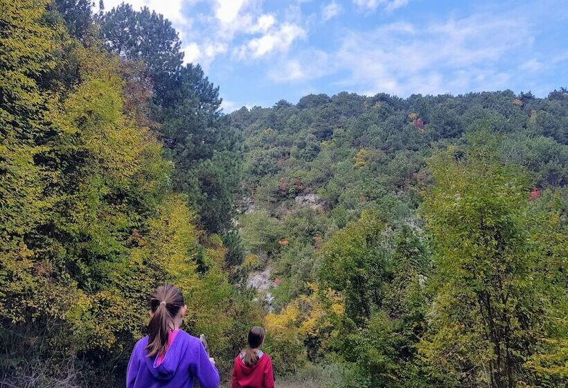 פנסיון Olympus House