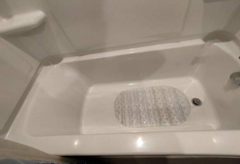 Пансион Ryan Home