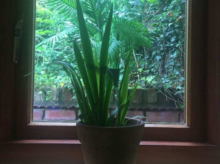 The Hyde Dovecote Kinver, Pet Friendly Holiday Let