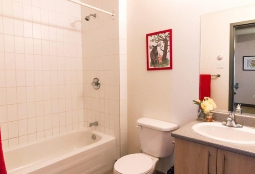 הוסטל Backpacker College @ Ec Lamarq