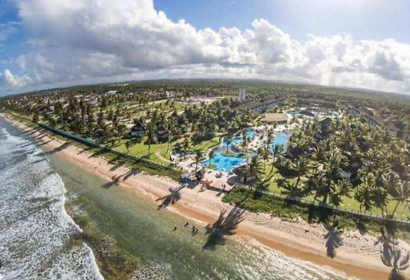 Beach Class Slin Muro Alto