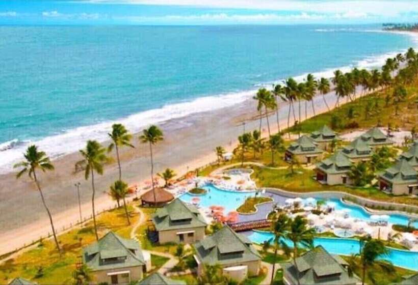 Beach Class Slin Muro Alto