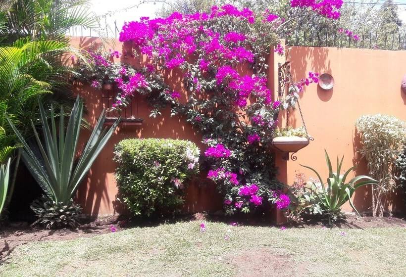 مبيت وإفطار Dobson Manor