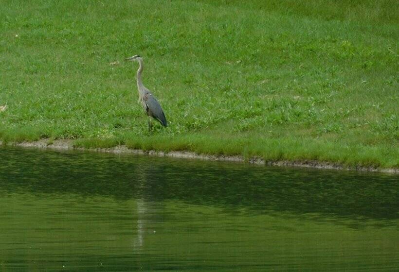 مبيت وإفطار Evonne S Sharing House