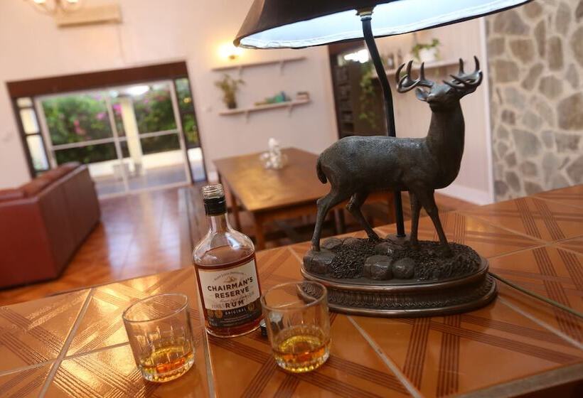 Bed and Breakfast Ocean View Boutique Guesthouse