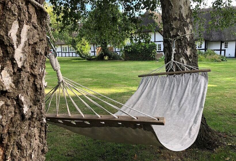 Birkelygaard Bed & Breakfast