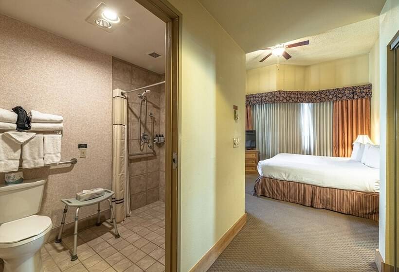 Cozy Pet Friendly King Studio In Mt. Crested Butte Condo   No Cleaning Fee! By Redawning