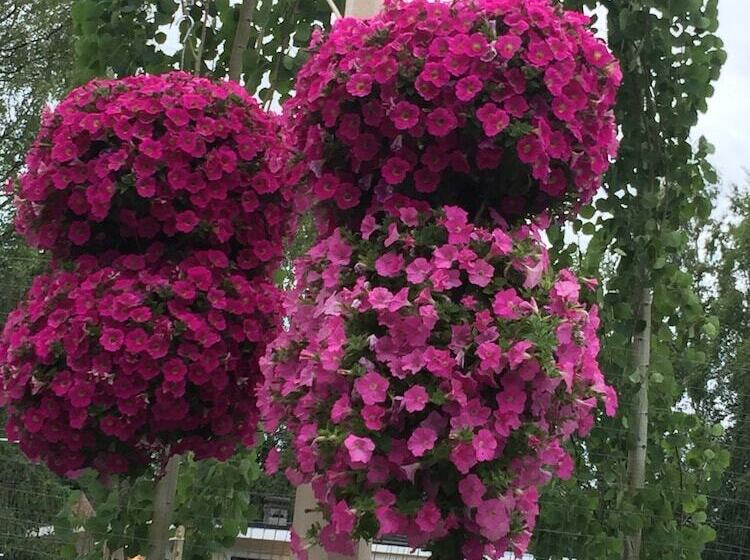 Deal S Bed & Breakfast Inn