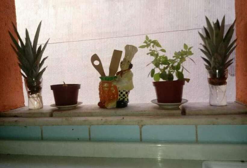 Full Sail Hostel Fortaleza