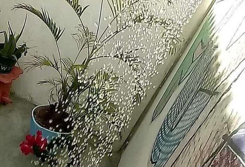 Full Sail Hostel Fortaleza