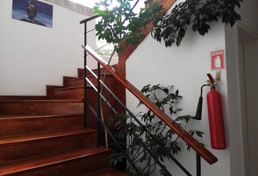 Hostal Joan Sebastian