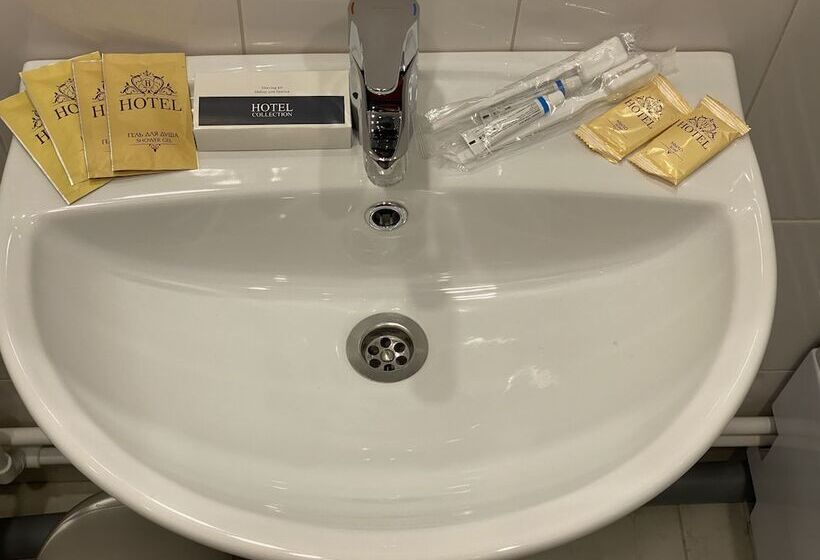 호텔 Airport Vnukovo