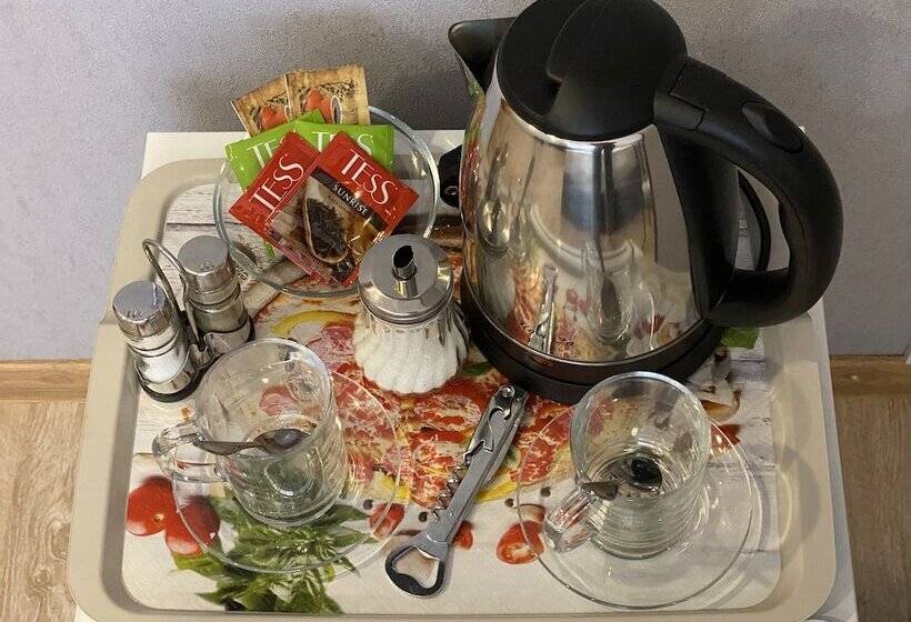 호텔 Airport Vnukovo