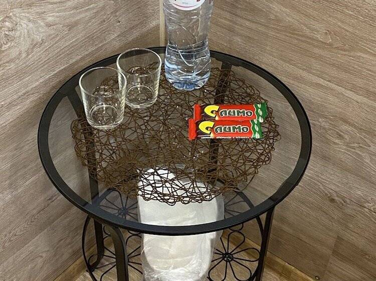 호텔 Airport Vnukovo