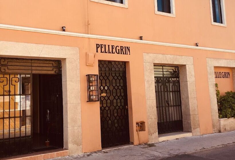 Отель Casa Pellegrin