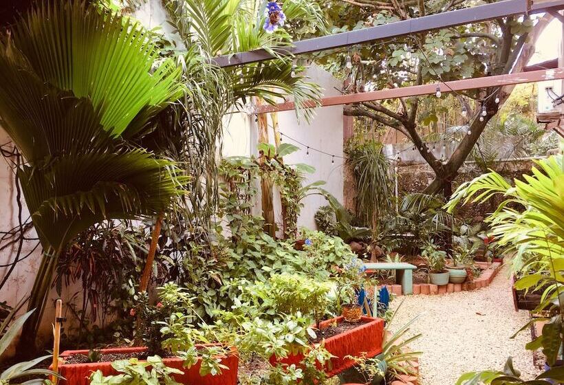 Отель Casa Pellegrin