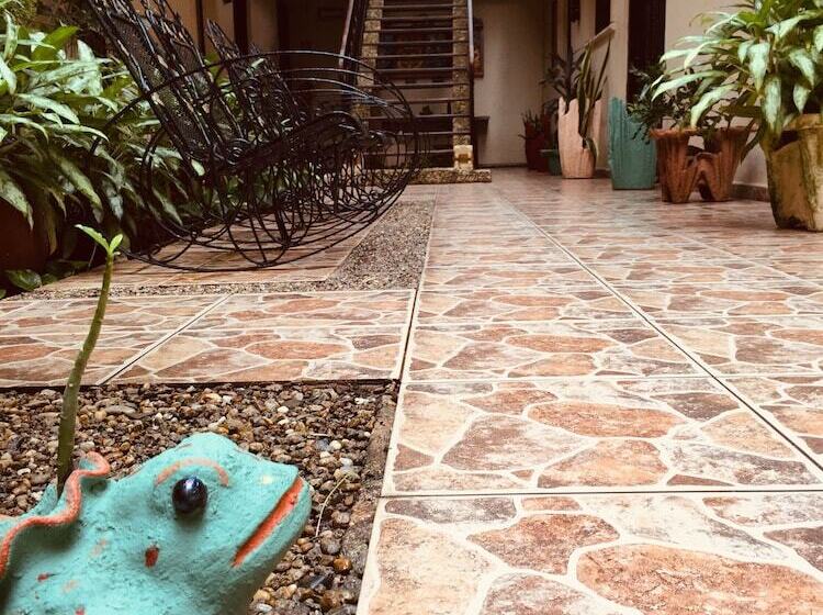 Отель Casa Pellegrin