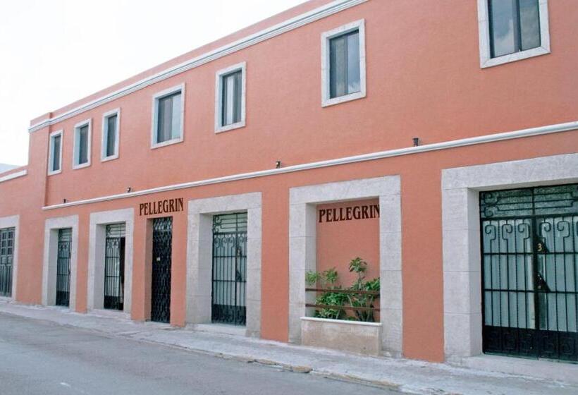 Отель Casa Pellegrin
