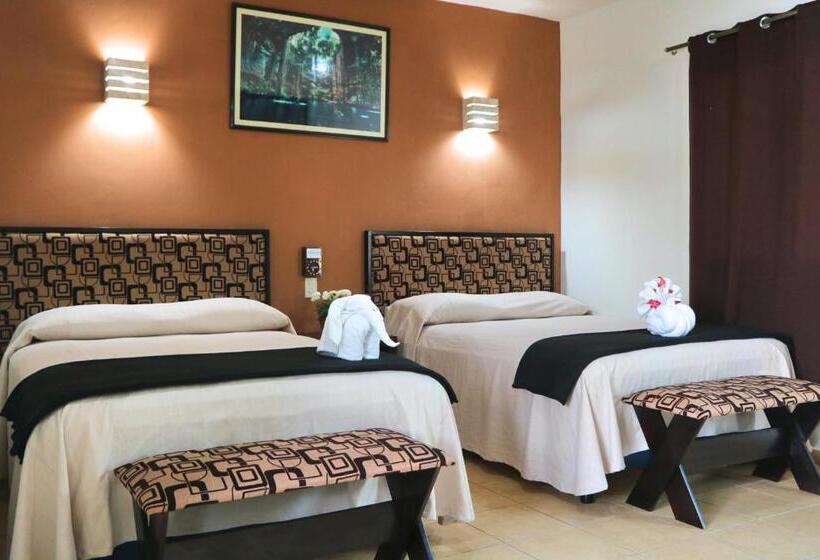 Отель Casa Pellegrin