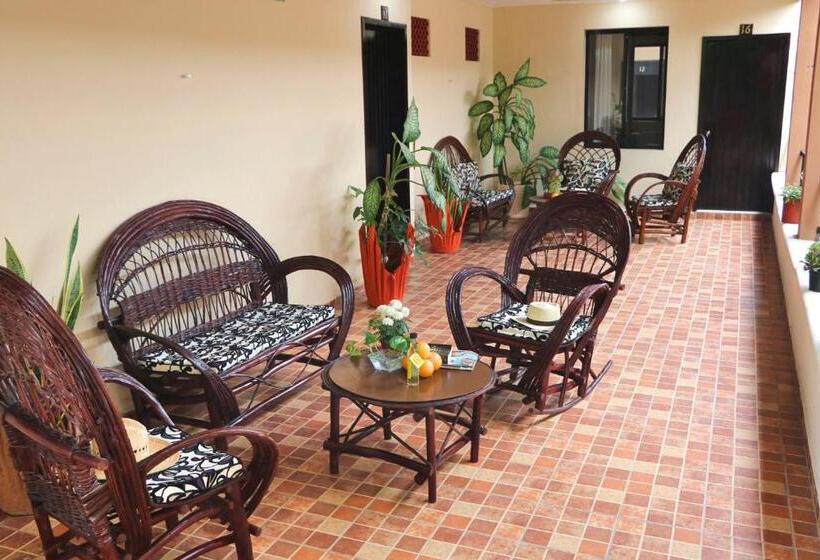 Отель Casa Pellegrin