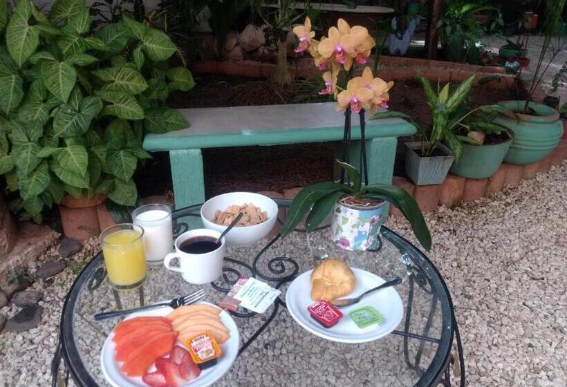 Отель Casa Pellegrin