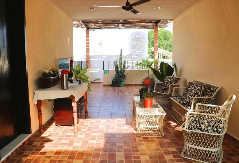 Отель Casa Pellegrin