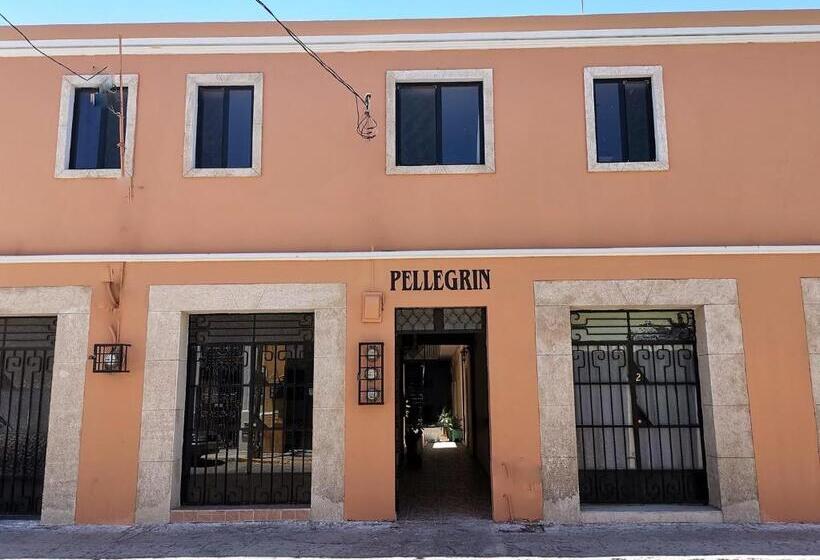 Отель Casa Pellegrin
