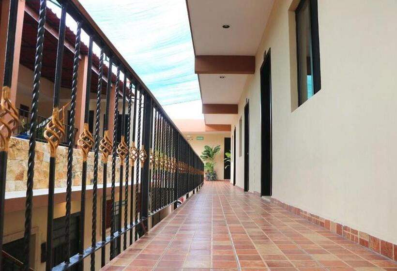 Отель Casa Pellegrin