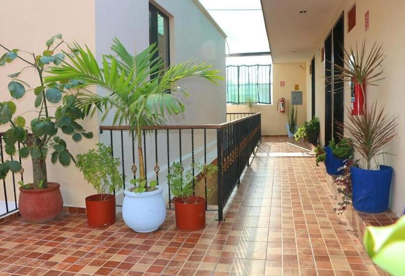 Отель Casa Pellegrin