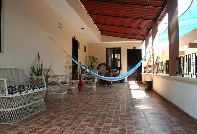 Отель Casa Pellegrin