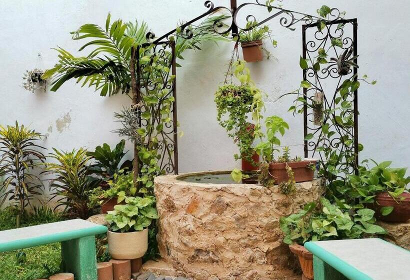 Отель Casa Pellegrin