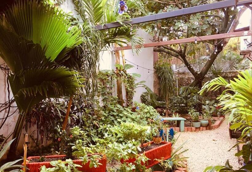 Отель Casa Pellegrin