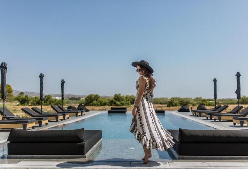 فندق Naxian Secret