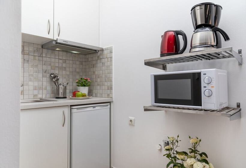 בית מלון כפרי Naxos Diamond Studios Apartments