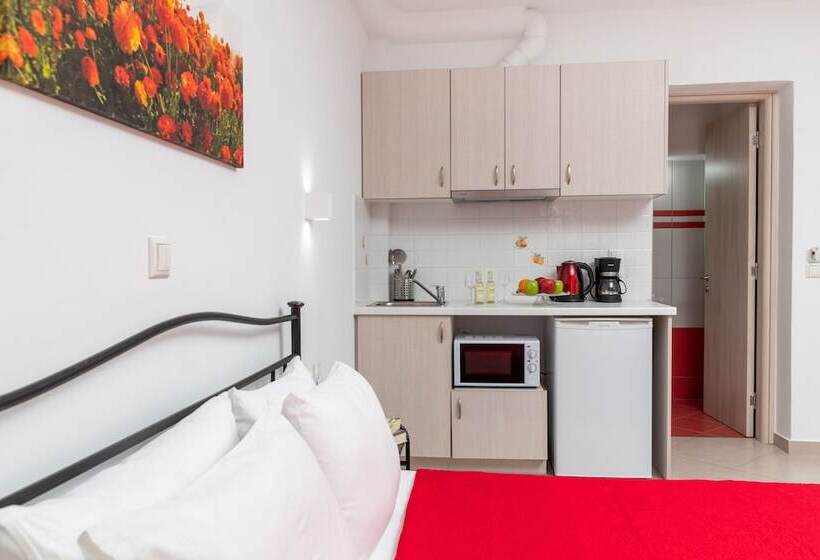 בית מלון כפרי Naxos Diamond Studios Apartments