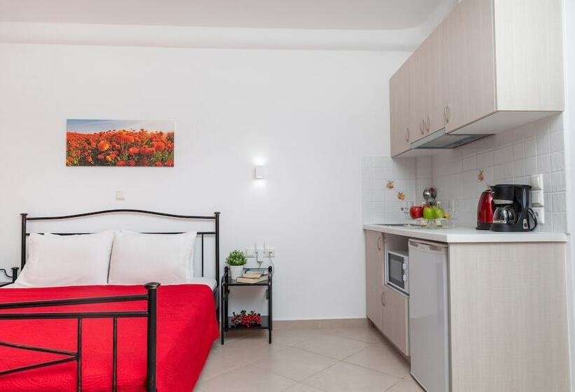 בית מלון כפרי Naxos Diamond Studios Apartments