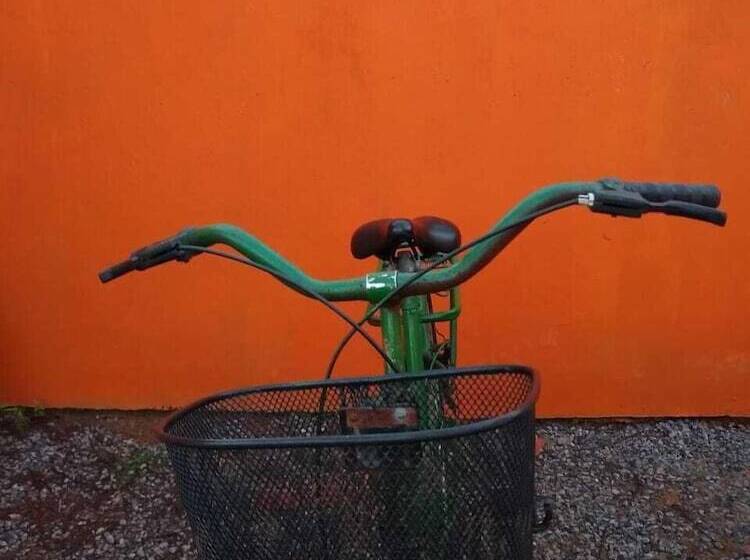 ホテル Pousada Caribe