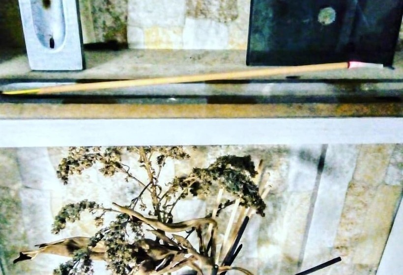 فندق Pousada Republica Zélia Barros