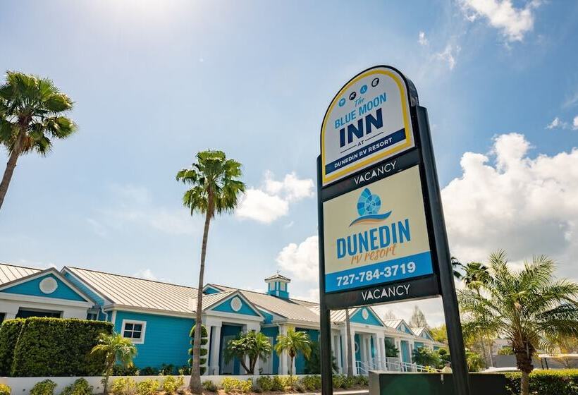 فندق Sun Retreats Dunedin