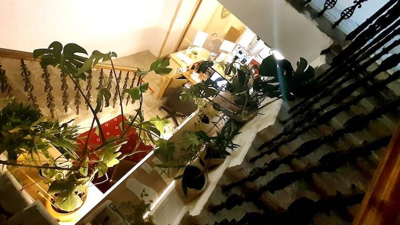 בית מלון כפרי Svarogart