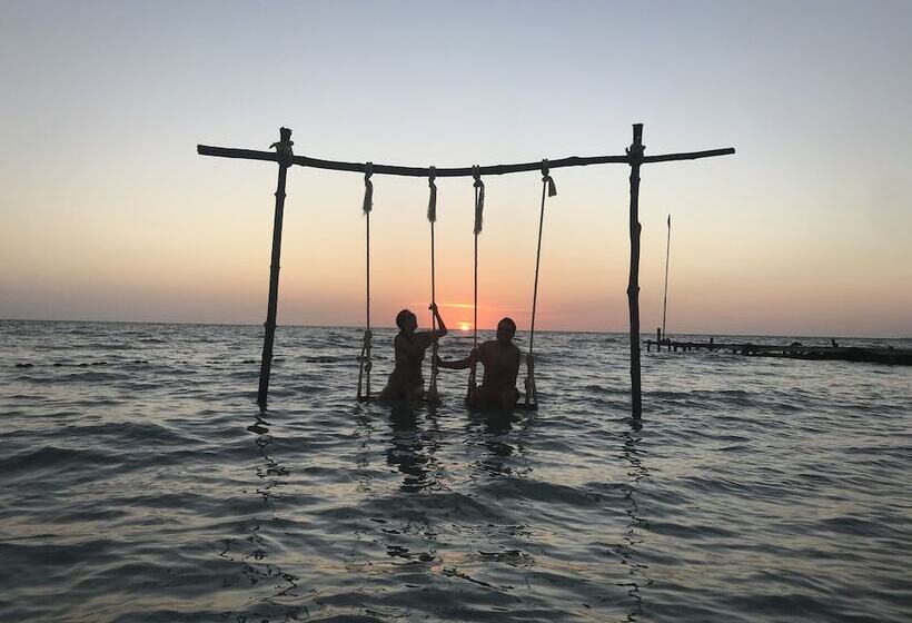 Mistica Island Hostel   Isla Palma