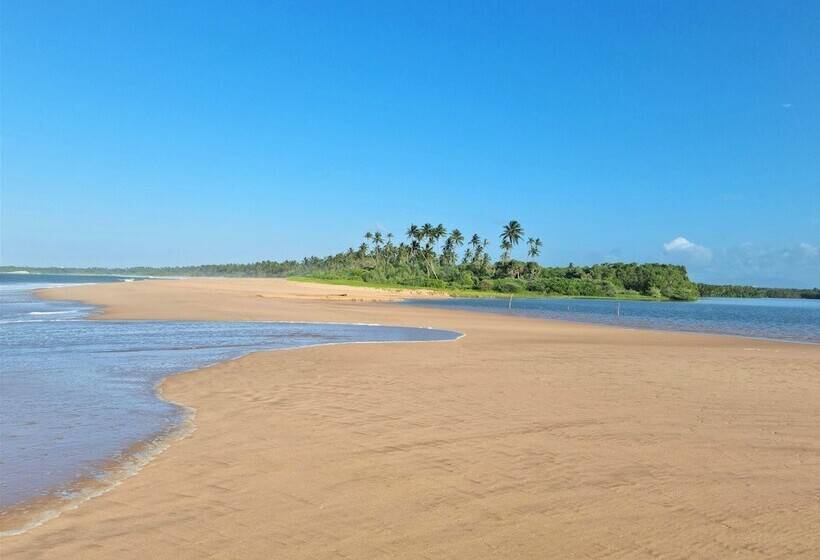 膳宿费 Ardeen Villa