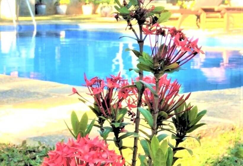 膳宿费 Ardeen Villa