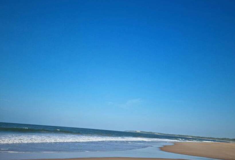 膳宿费 Ardeen Villa